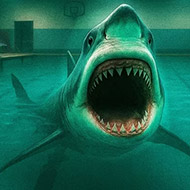 Sharks and Minnows